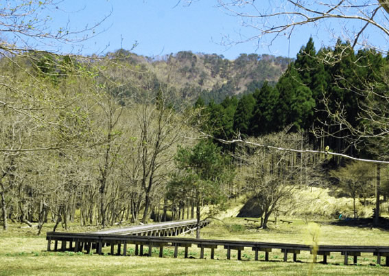 遊歩道