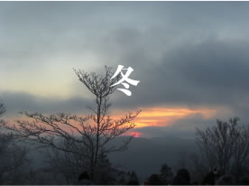 冬
